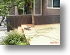 deck nonhyundong round 0100192.jpg